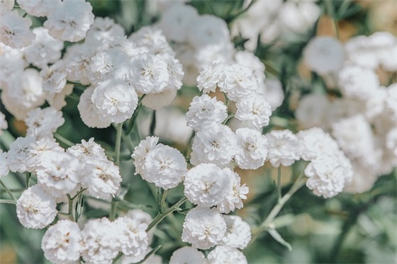 企业环保理念标语 企业环保理念