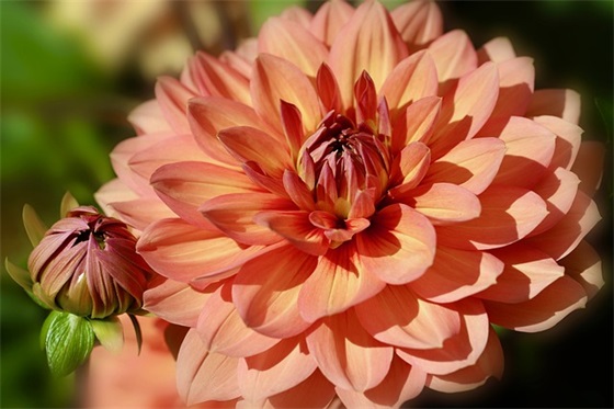 班级学风口号83句