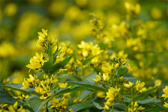 创意军训口号大全 中班军训口号大全