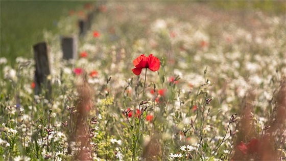 高大上的运动会口号84句