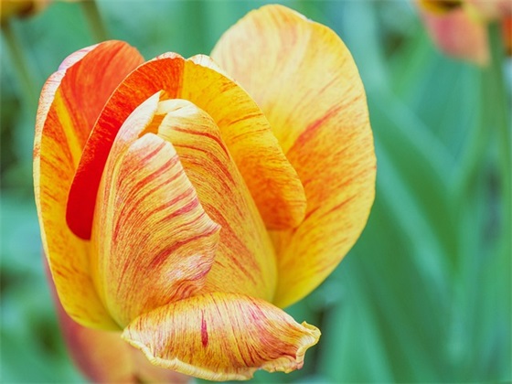 2026节约粮食横幅宣传口号 节约粮食的宣传口号