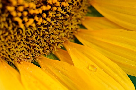 双十一营销口号霸气