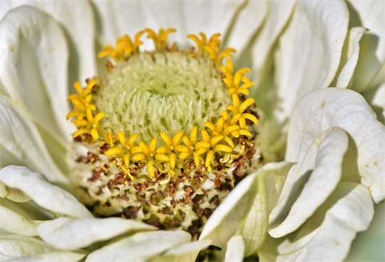 落入凡间的温柔古风句子(温柔了岁月的古风句子)