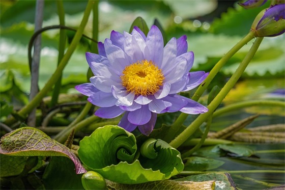 努力拼搏的句子