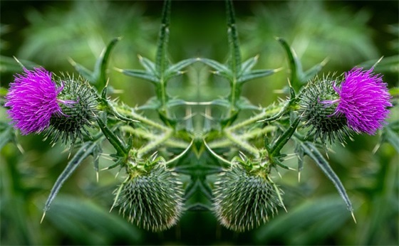 想到心碎的凄美句子 让人心疼的句子简短