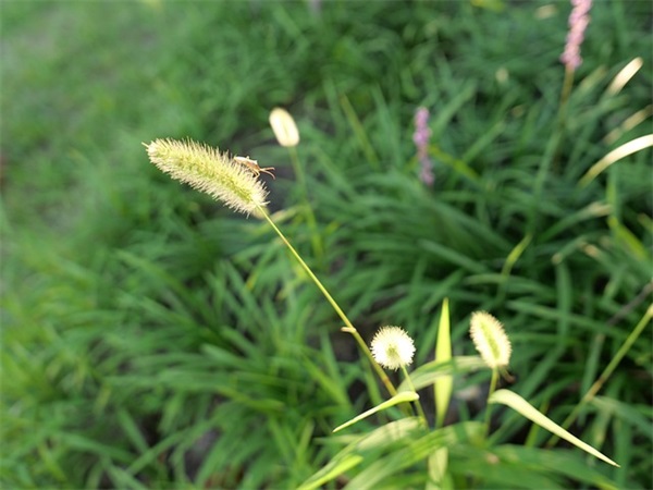 销售部发言致辞(精选4篇)